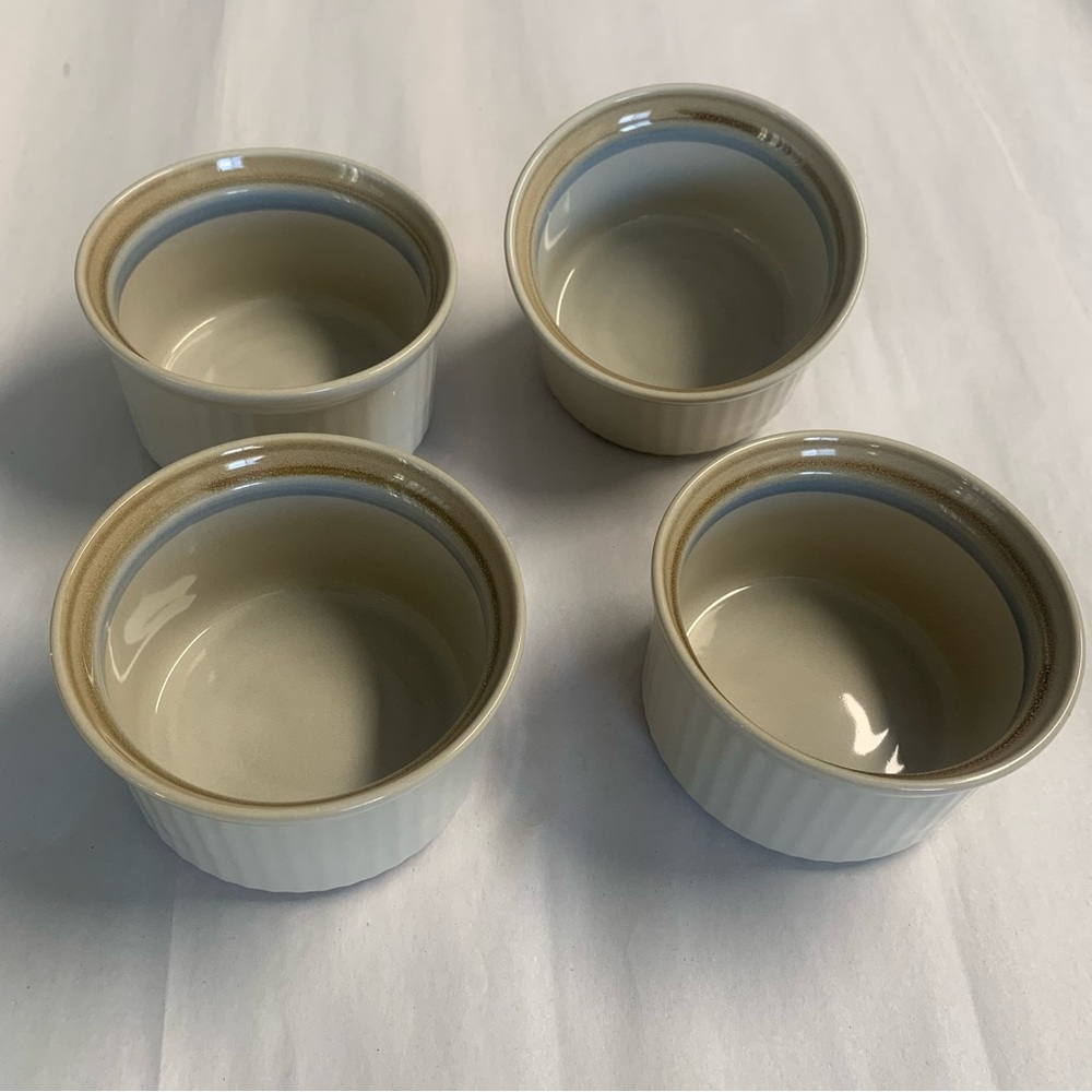 Noritake PAINTED DESERT Stoneware Ramekins. Rare. Set of 4. EUC.